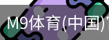M9体育